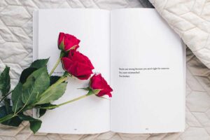 Lire la suite à propos de l’article Inspirations for my books